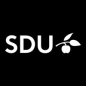 University of Southern Denmark - Digital Democracy Centre x TrygFonden Fellowship Program logo